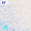 Cl* NGC 5139    NJL      44