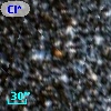 Cl* NGC 5139   LEID   45518