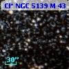 Cl* NGC 5139      M      43