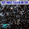 Cl* NGC 5139      M      79