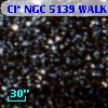Cl* NGC 5139   WALK      39