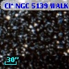 Cl* NGC 5139   WALK      40