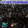 Cl* NGC 5139   WALK      41