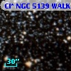 Cl* NGC 5139   WALK      42