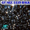 Cl* NGC 5139   WALK      49