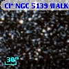 Cl* NGC 5139   WALK      50