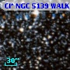 Cl* NGC 5139   WALK      62