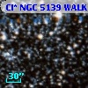 Cl* NGC 5139   WALK      66