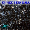 Cl* NGC 5139   WALK      74