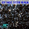 Cl* NGC 5139   WALK      80