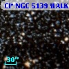 Cl* NGC 5139   WALK     110