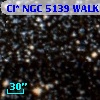 Cl* NGC 5139   WALK     113