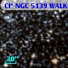 Cl* NGC 5139   WALK     135
