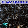 Cl* NGC 5139   WALK     141