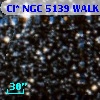 Cl* NGC 5139   WALK     157