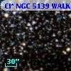 Cl* NGC 5139   WALK     164