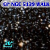Cl* NGC 5139   WALK     170