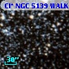 Cl* NGC 5139   WALK     183