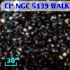 Cl* NGC 5139   WALK     196