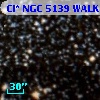 Cl* NGC 5139   WALK     216