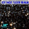 Cl* NGC 5139   WALK     221
