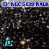 Cl* NGC 5139   WALK     227