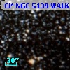 Cl* NGC 5139   WALK     228