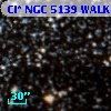 Cl* NGC 5139   WALK     230