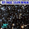 Cl* NGC 5139   WALK     238