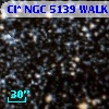 Cl* NGC 5139   WALK     240