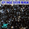 Cl* NGC 5139   WALK     247
