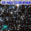 Cl* NGC 5139   WALK     278