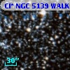 Cl* NGC 5139   WALK     280