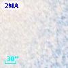 Cl* NGC 5139   LEID   45082