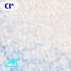 Cl* NGC 5139    BPB  129813