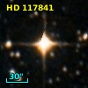 HD 117841
