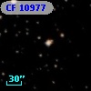 CF 10977