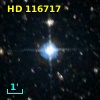 HD 116717