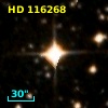HD 116268