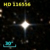 HD 116556