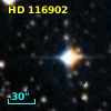 HD 116902