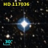 HD 117036