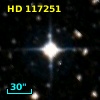HD 117251