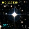 HD 117325