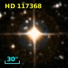 HD 117368