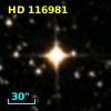 HD 116981