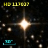 HD 117037