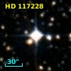 HD 117228