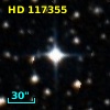 HD 117355