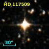 HD 117509